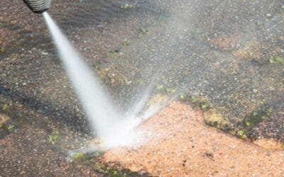 How to Prevent Mold and Mildew on Your Deck or Fence